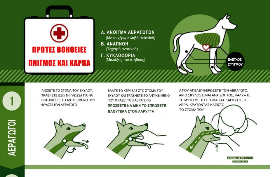 εικόνα άρθρου