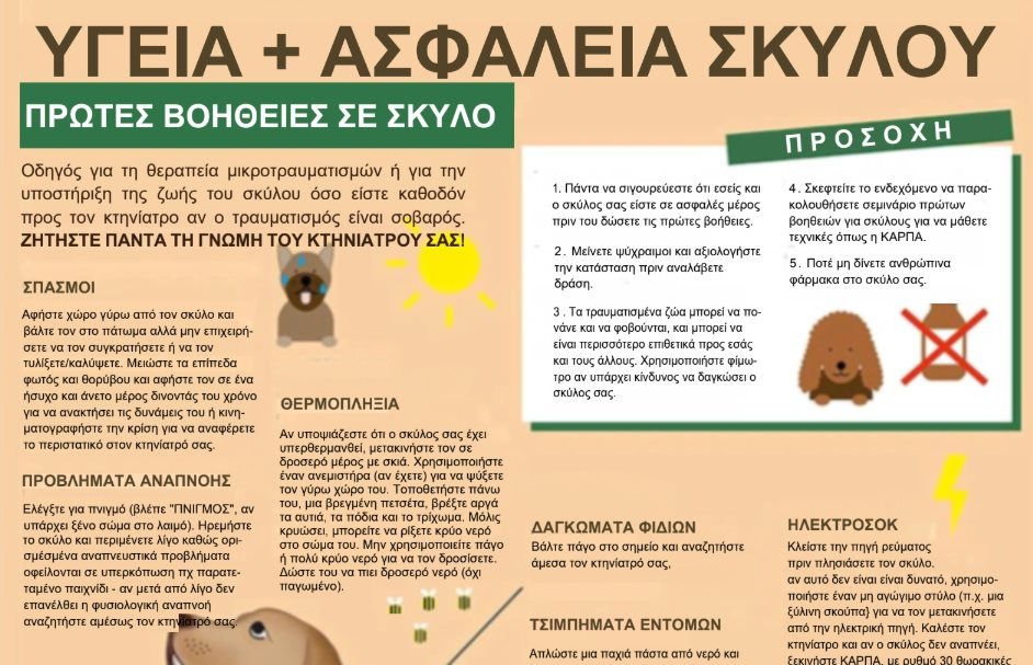 εικόνα άρθρου